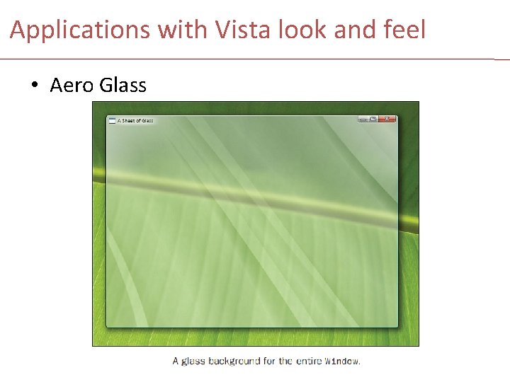 Applications with Vista look and feel • Aero Glass 