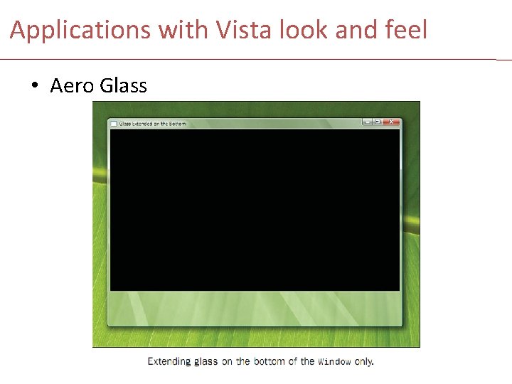 Applications with Vista look and feel • Aero Glass 