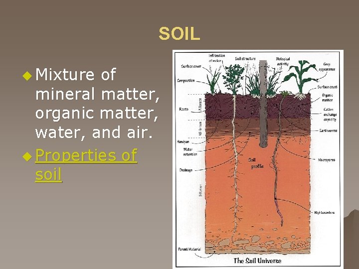 SOIL u Mixture of mineral matter, organic matter, water, and air. u Properties of