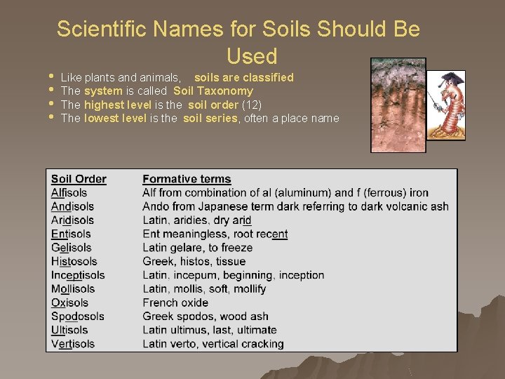  • • Scientific Names for Soils Should Be Used Like plants and animals,