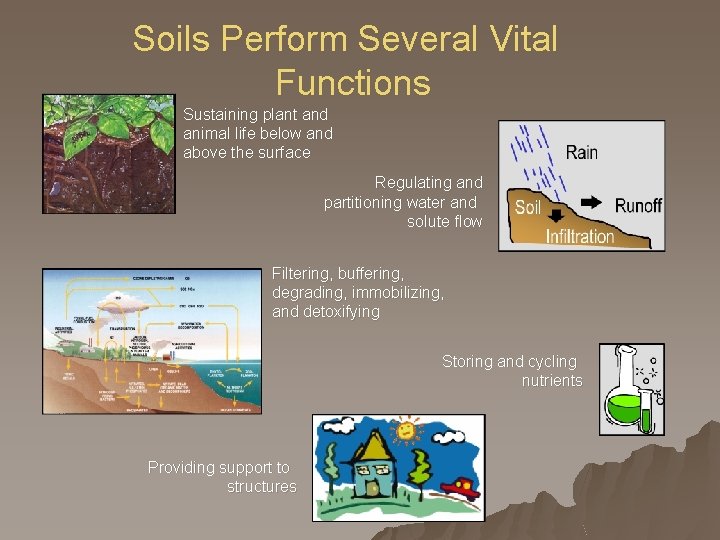 Soils Perform Several Vital Functions Sustaining plant and animal life below and above the