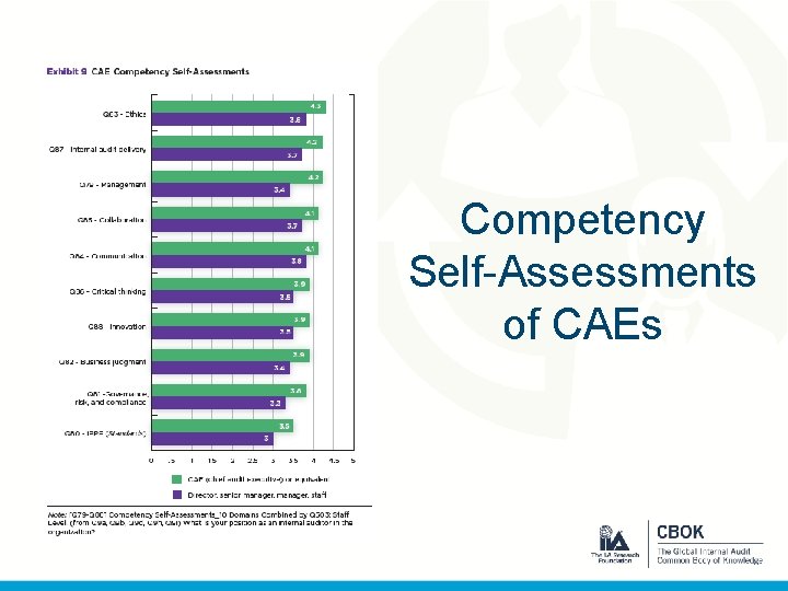 Competency Self-Assessments of CAEs 