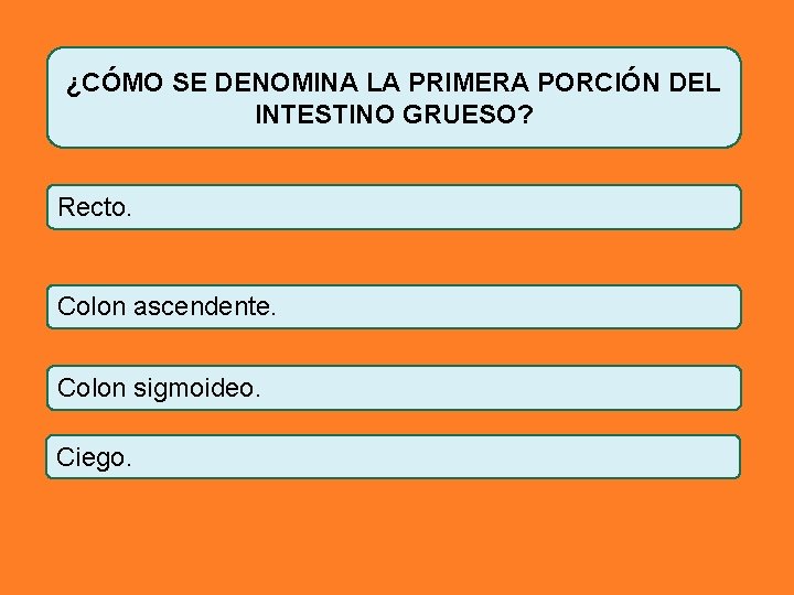 ¿CÓMO SE DENOMINA LA PRIMERA PORCIÓN DEL INTESTINO GRUESO? Recto. Colon ascendente. Colon sigmoideo.