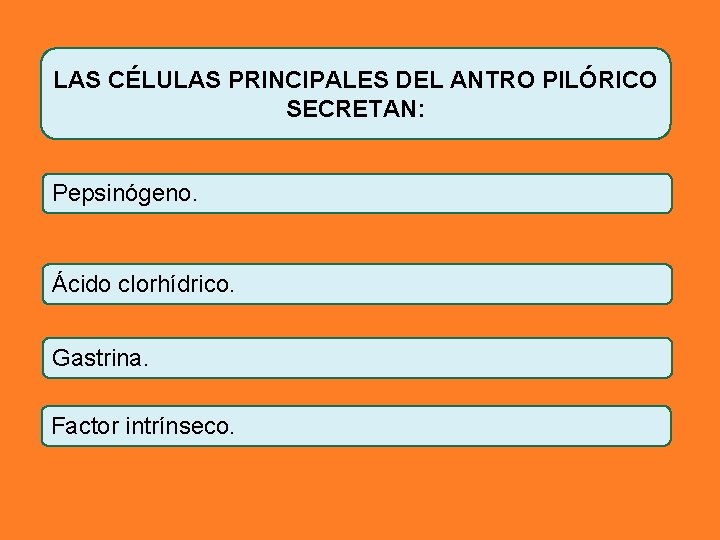 LAS CÉLULAS PRINCIPALES DEL ANTRO PILÓRICO SECRETAN: Pepsinógeno. Ácido clorhídrico. Gastrina. Factor intrínseco. 