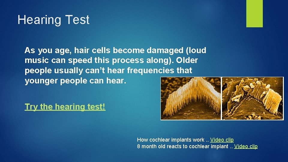 Hearing Test As you age, hair cells become damaged (loud music can speed this