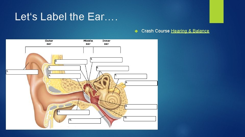 Let‘s Label the Ear…. Crash Course Hearing & Balance 