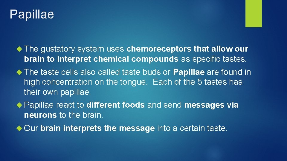 Papillae The gustatory system uses chemoreceptors that allow our brain to interpret chemical compounds