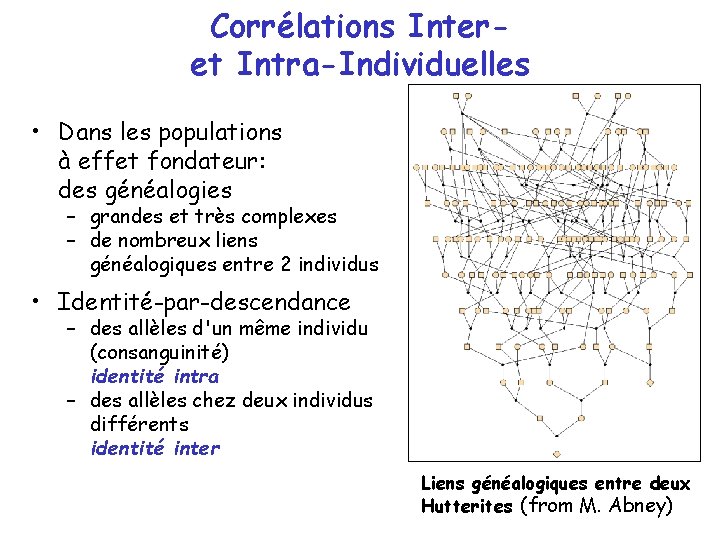 Corrélations Interet Intra-Individuelles • Dans les populations à effet fondateur: des généalogies – grandes Corrélations Interet Intra-Individuelles • Dans les populations à effet fondateur: des généalogies – grandes