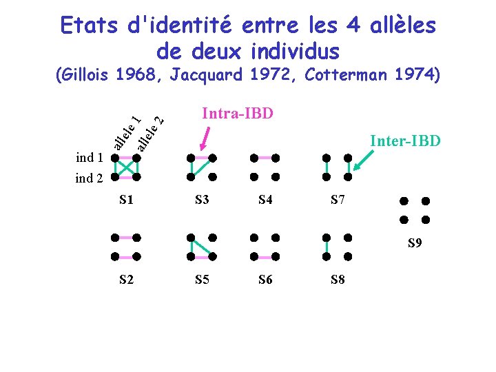 Etats d'identité entre les 4 allèles de deux individus Intra-IBD Inter-IBD all ind 1 Etats d'identité entre les 4 allèles de deux individus Intra-IBD Inter-IBD all ind 1