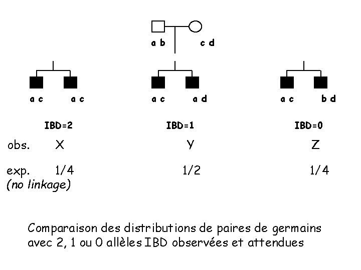 a b a c IBD=2 obs. X exp. 1/4 (no linkage) a c c a b a c IBD=2 obs. X exp. 1/4 (no linkage) a c c