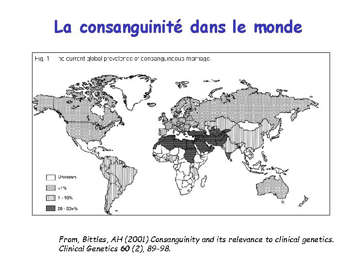 La consanguinité dans le monde From, Bittles, AH (2001) Consanguinity and its relevance to La consanguinité dans le monde From, Bittles, AH (2001) Consanguinity and its relevance to