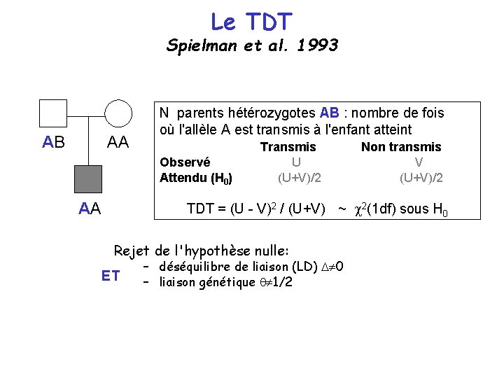 Le TDT Spielman et al. 1993 AB AA N parents hétérozygotes AB : nombre Le TDT Spielman et al. 1993 AB AA N parents hétérozygotes AB : nombre