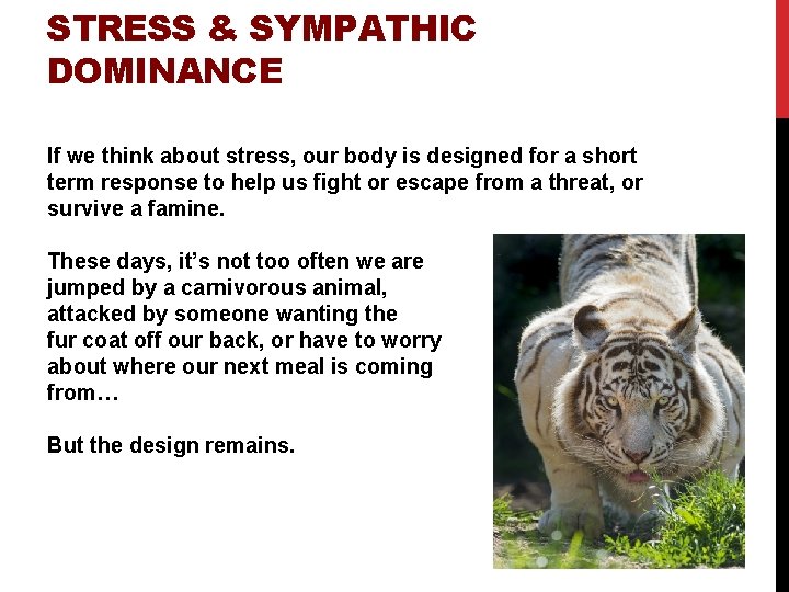 STRESS & SYMPATHIC DOMINANCE If we think about stress, our body is designed for