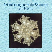 Cristal de água do rio Shimanto em Kochi. 