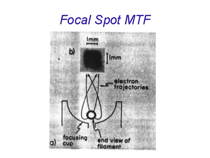 Focal Spot MTF 