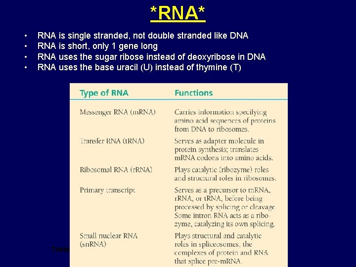 *RNA* • • RNA is single stranded, not double stranded like DNA RNA is