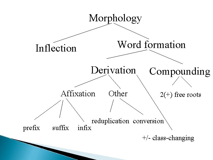 Morphology Word formation Inflection Derivation Affixation prefix suffix infix Other Compounding 2(+) free roots