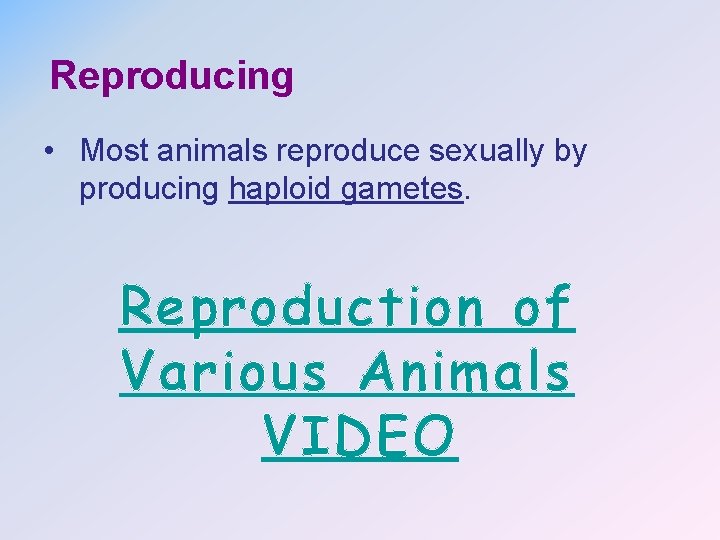 Reproducing • Most animals reproduce sexually by producing haploid gametes. Reproduction of Various Animals