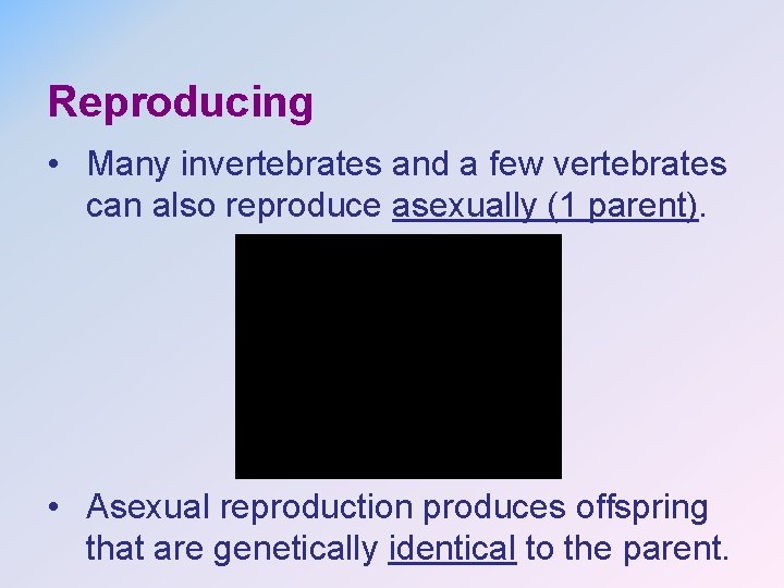 Reproducing • Many invertebrates and a few vertebrates can also reproduce asexually (1 parent).