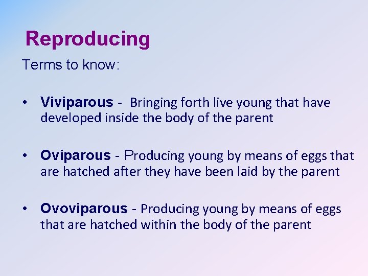 Reproducing Terms to know: • Viviparous - Bringing forth live young that have developed