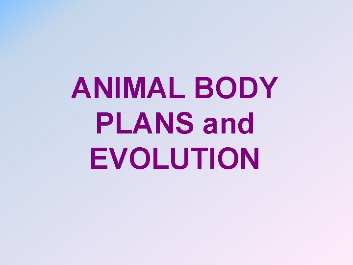 ANIMAL BODY PLANS and EVOLUTION 