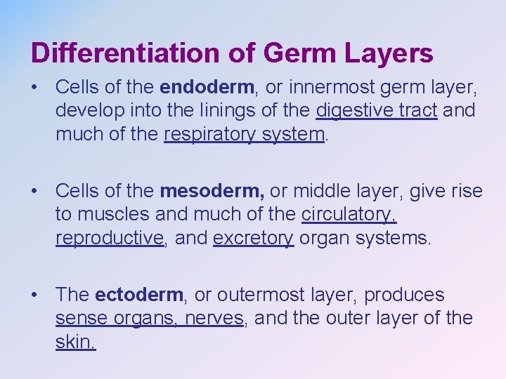 Differentiation of Germ Layers • Cells of the endoderm, or innermost germ layer, develop