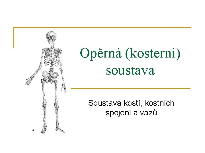 Opěrná (kosterní) soustava Soustava kostí, kostních spojení a vazů obr. 1 