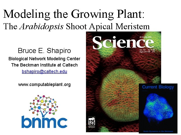 Modeling the Growing Plant: The Arabidopsis Shoot Apical Meristem Bruce E. Shapiro Biological Network