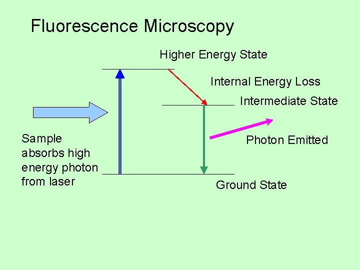 Fluorescence Microscopy Higher Energy State Internal Energy Loss Intermediate State Sample absorbs high energy