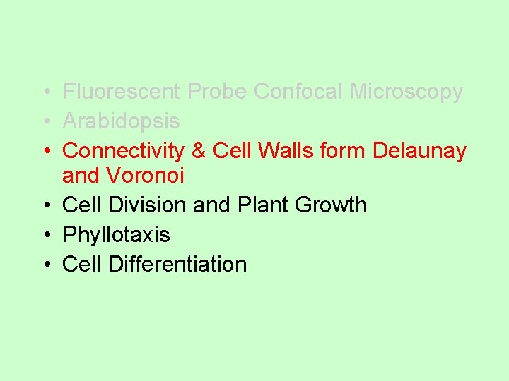  • Fluorescent Probe Confocal Microscopy • Arabidopsis • Connectivity & Cell Walls form