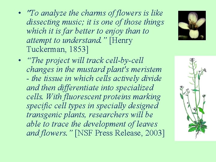  • "To analyze the charms of flowers is like dissecting music; it is