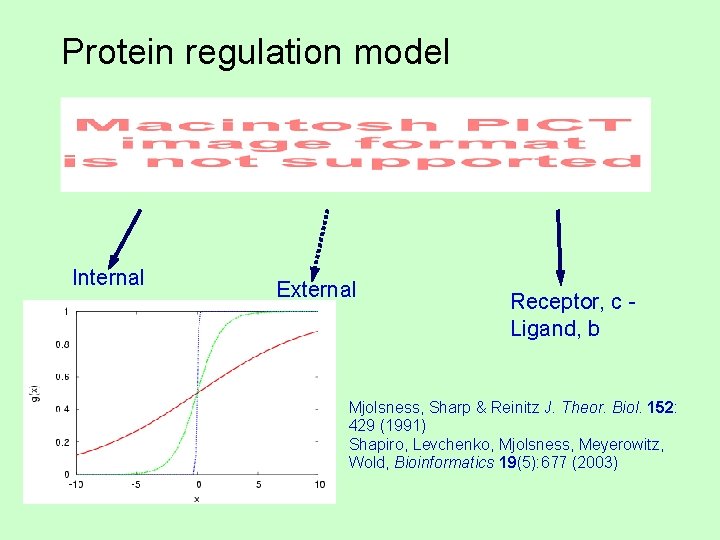 Protein regulation model Internal External Receptor, c Ligand, b Mjolsness, Sharp & Reinitz J.