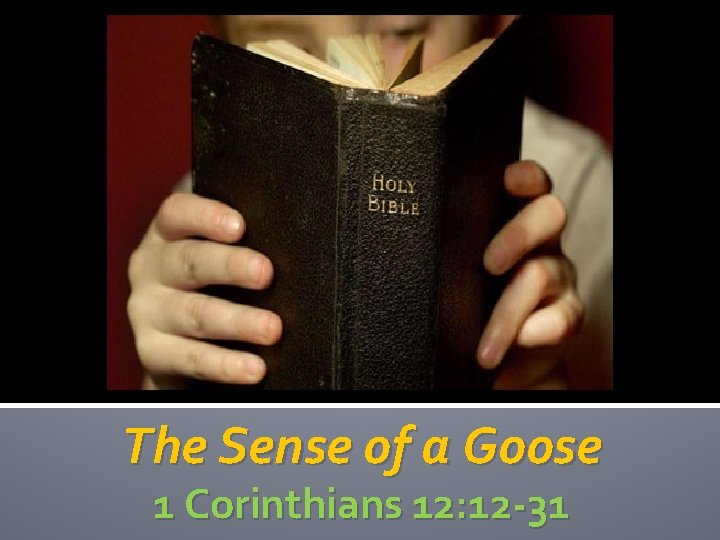 The Sense of a Goose 1 Corinthians 12: 12 -31 