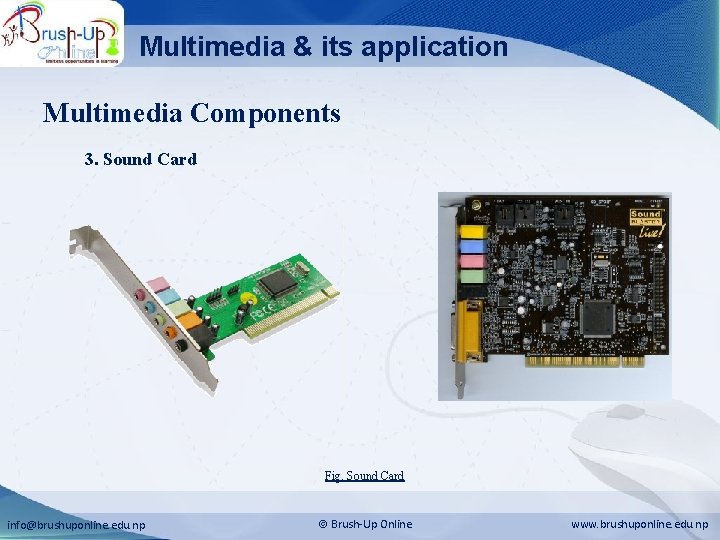 Multimedia & its application Multimedia Components 3. Sound Card Fig. Sound Card info@brushuponline. edu.