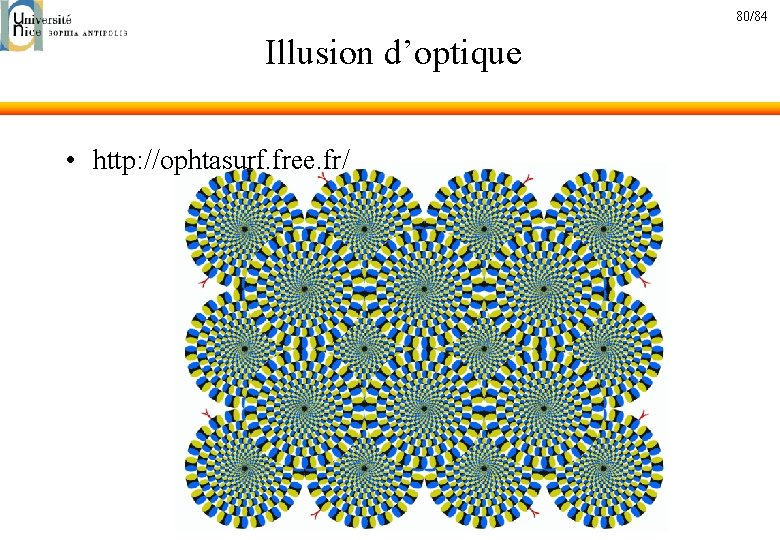 80/84 Illusion d’optique • http: //ophtasurf. free. fr/ 