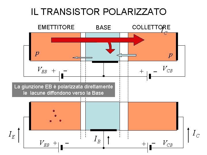 IL TRANSISTOR POLARIZZATO EMETTITORE p BASE COLLETTORE IC p n VEB + _ VCB