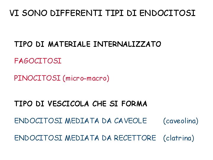 VI SONO DIFFERENTI TIPI DI ENDOCITOSI TIPO DI MATERIALE INTERNALIZZATO FAGOCITOSI PINOCITOSI (micro-macro) TIPO