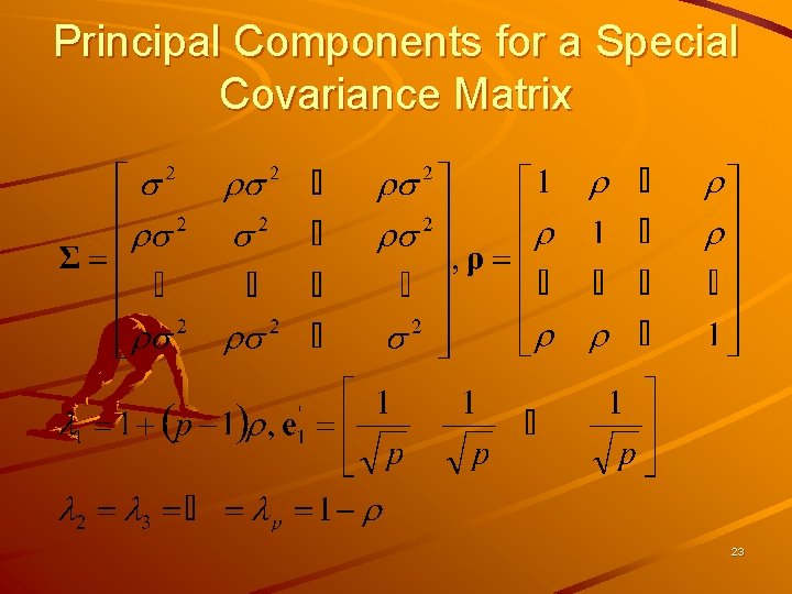 Principal Components for a Special Covariance Matrix 23 