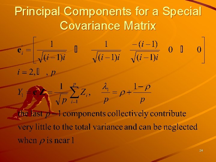 Principal Components for a Special Covariance Matrix 24 
