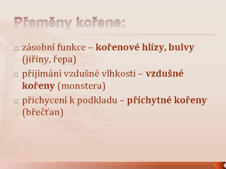 Přeměny kořene: � � � zásobní funkce – kořenové hlízy, bulvy (jiřiny, řepa) přijímání