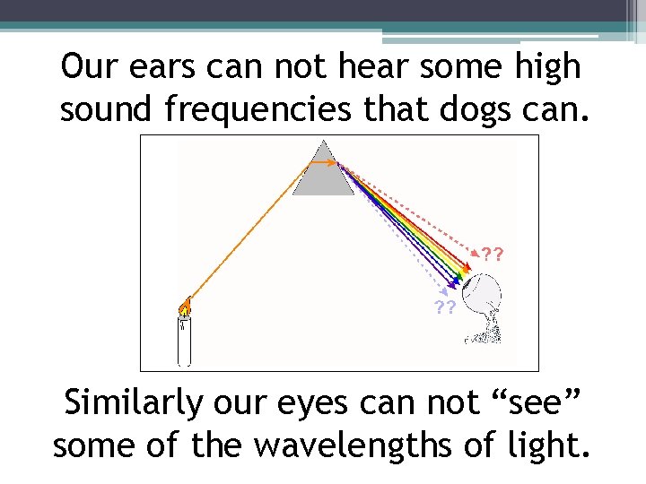 Our ears can not hear some high sound frequencies that dogs can. Similarly our
