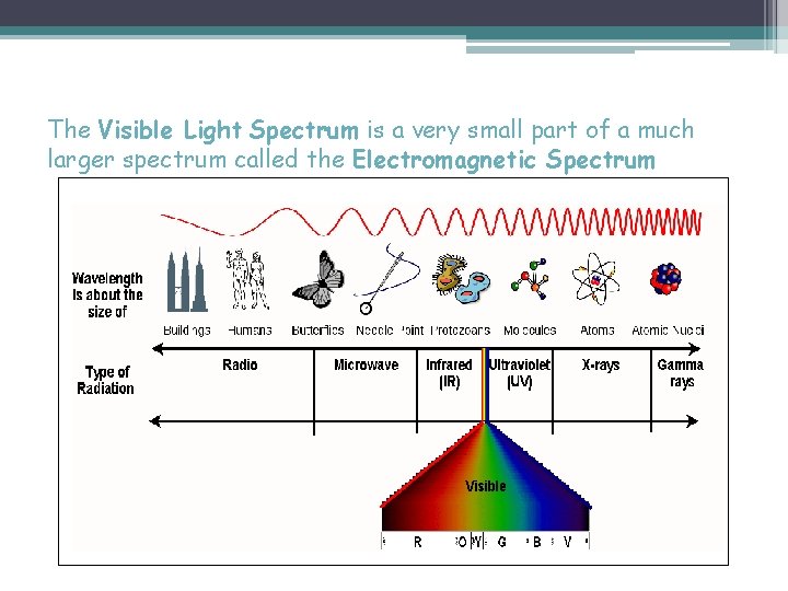 The Visible Light Spectrum is a very small part of a much larger spectrum