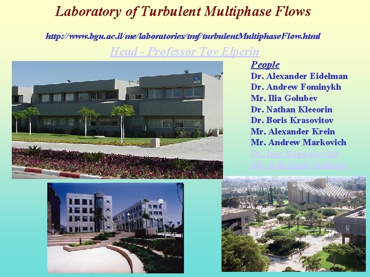 Laboratory of Turbulent Multiphase Flows http: //www. bgu. ac. il/me/laboratories/tmf/turbulent. Multiphase. Flow. html Head