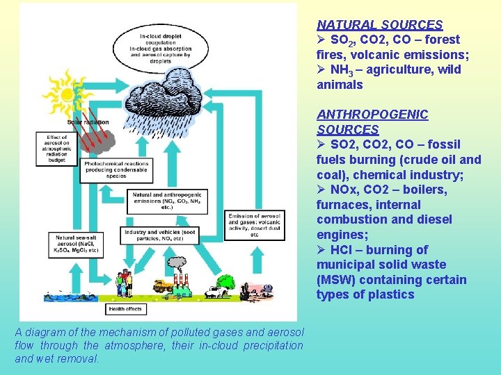 NATURAL SOURCES Ø SO 2, CO – forest fires, volcanic emissions; Ø NH 3