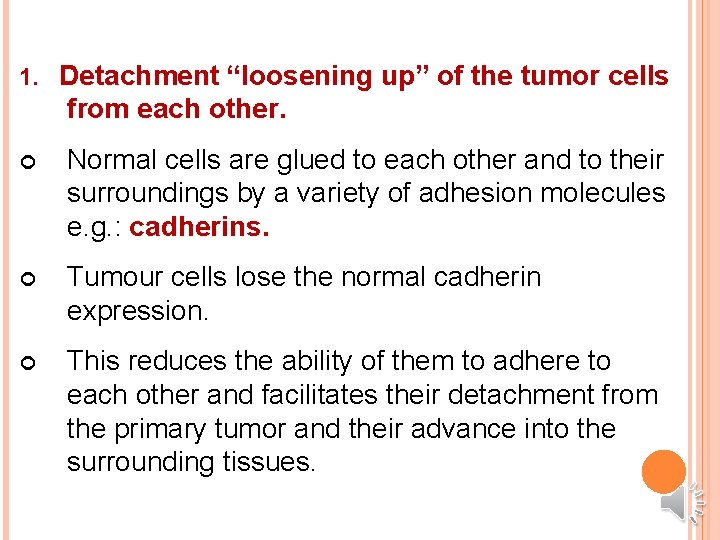 1. Detachment “loosening up” of the tumor cells from each other. Normal cells are