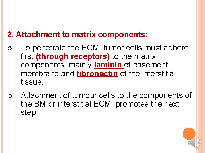 2. Attachment to matrix components: To penetrate the ECM, tumor cells must adhere first