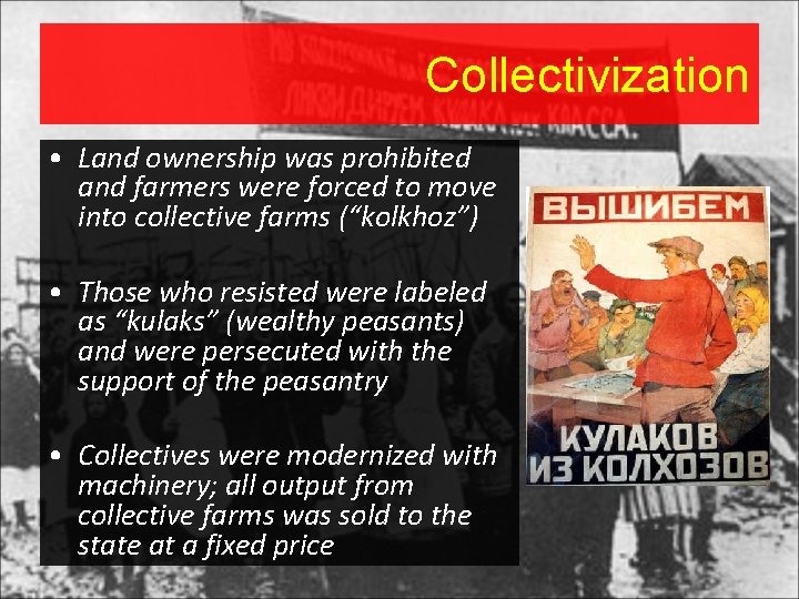 Collectivization • Land ownership was prohibited and farmers were forced to move into collective