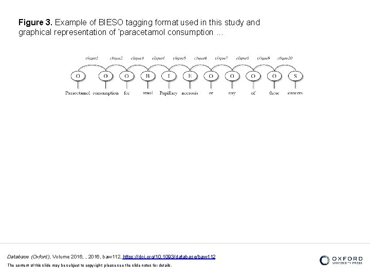 Figure 3. Example of BIESO tagging format used in this study and graphical representation