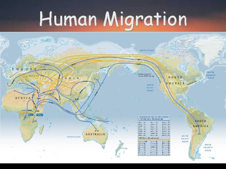 Human Migration 