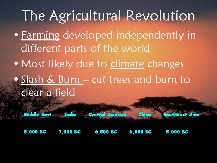 The Agricultural Revolution • Farming developed independently in different parts of the world •